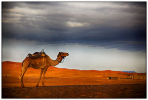 Africa/AF-Morocco