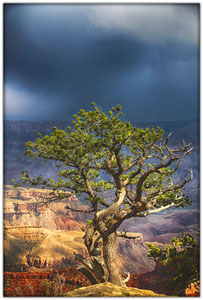 NatParks/NP-GrandCanyon