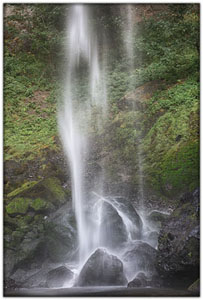 NatParks/NP-Northwest