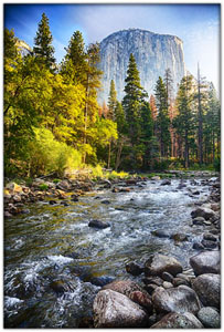 NatParks/NP-Yosemite