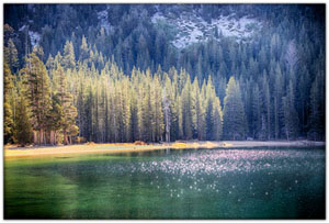 NatParks/NP-Yosemite