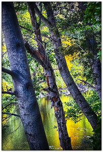 NatParks/NP-Yosemite