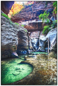 NatParks/NP-Zion