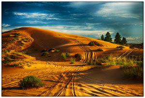 NatParks/NP-Zion