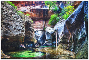 NatParks/NP-Zion