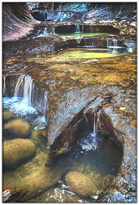 NatParks/NP-Zion