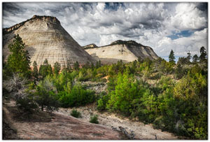 NatParks/NP-Zion