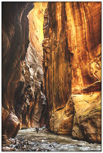 NatParks/NP-Zion