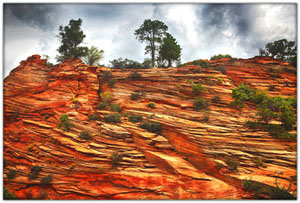 NatParks/NP-Zion