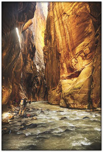 NatParks/NP-Zion