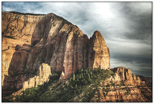 NatParks/NP-Zion