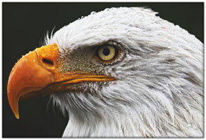 SAmerica/SA-Ecuador