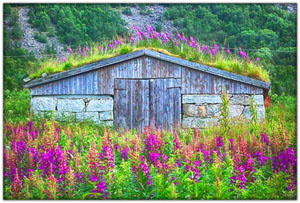 Scandinavia